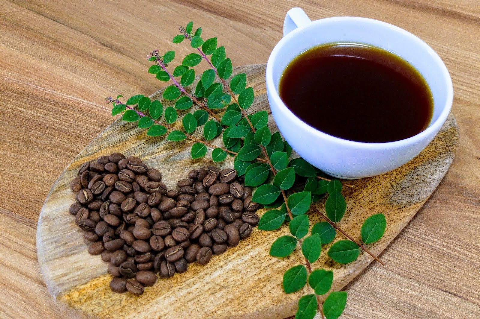 BirdSong Coffee