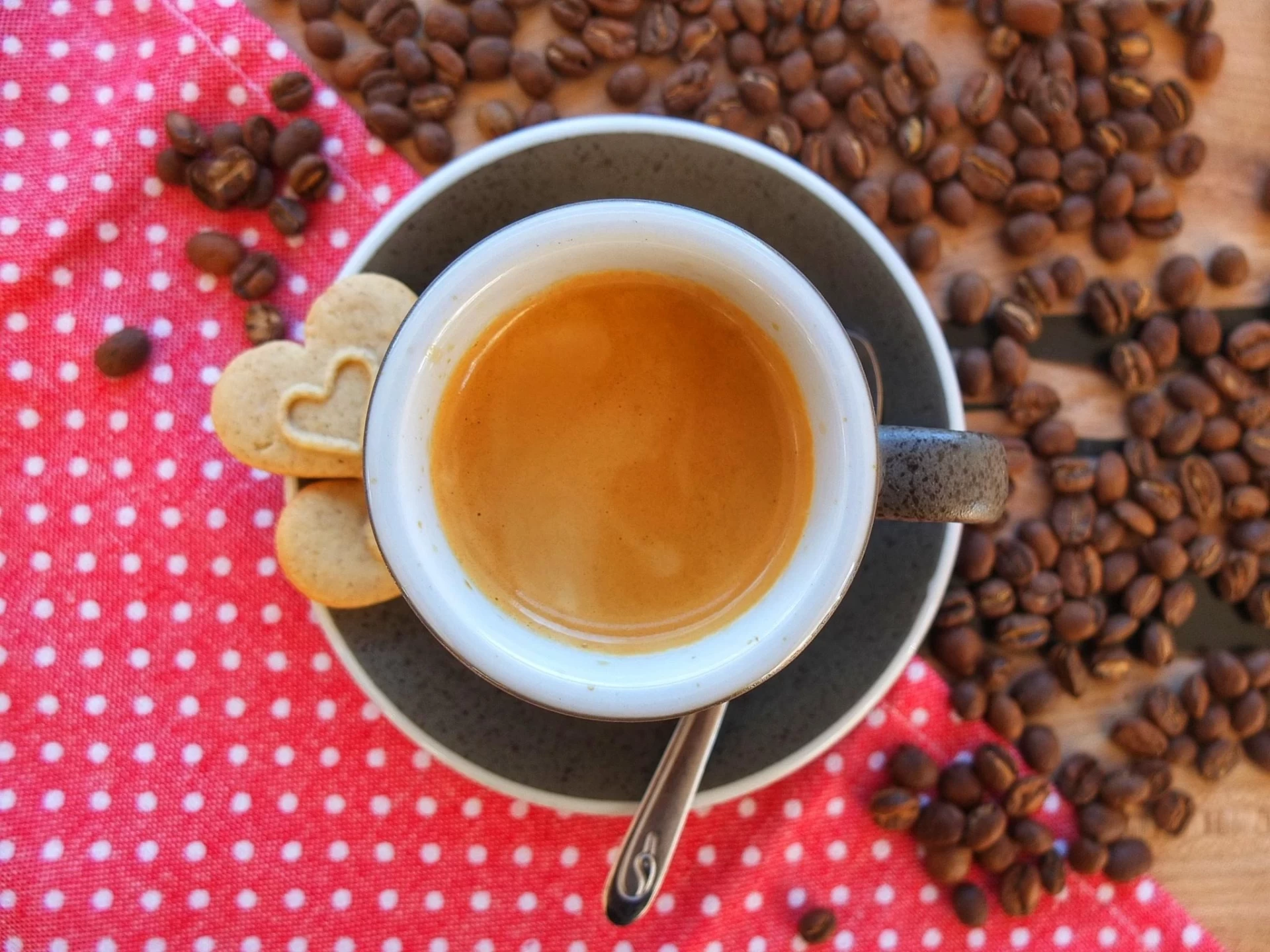 Mondo Café