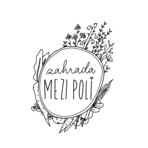 Mezi poli