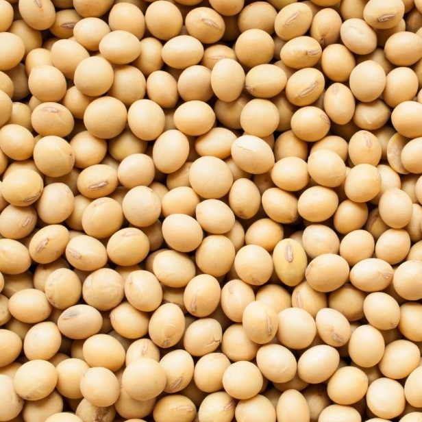 BIO Sojové boby