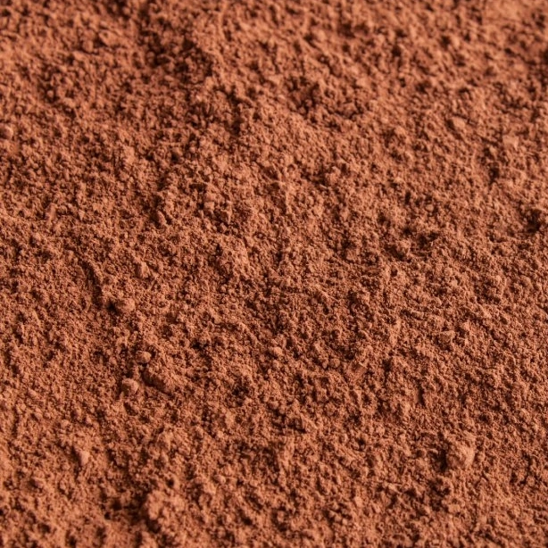 Kakaový prášek BIO