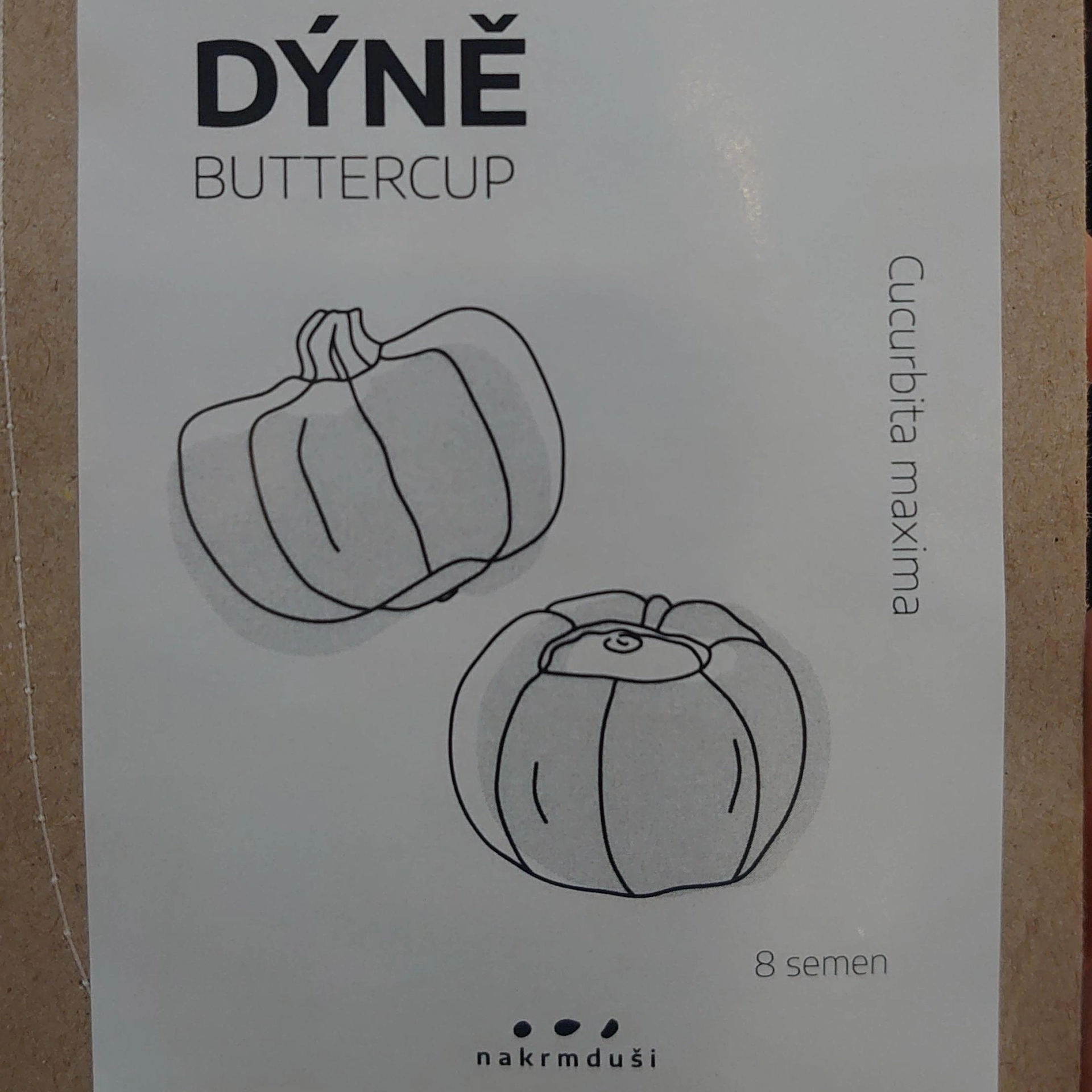 Dýně Buttercup - semena