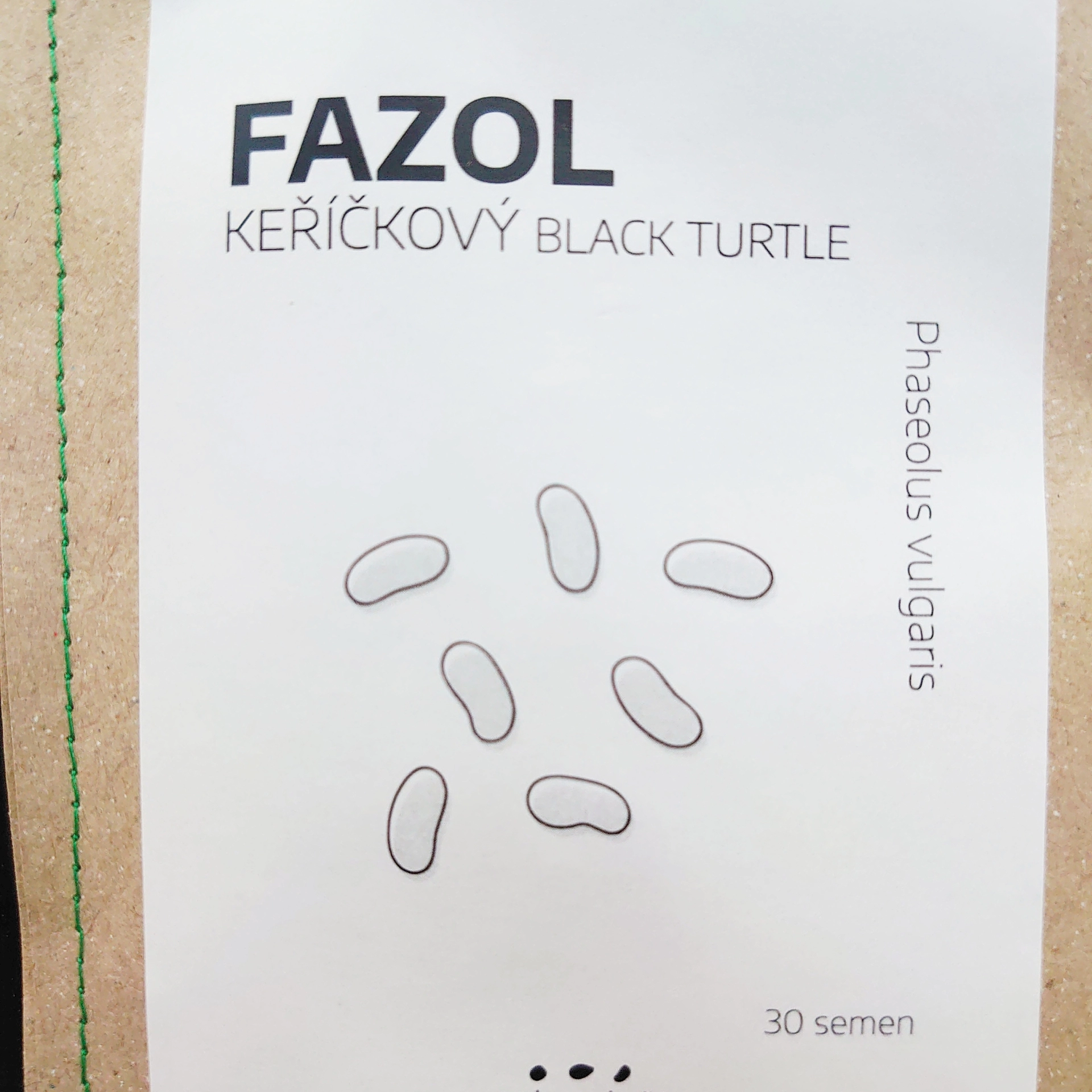 Fazol keříčkový Black Turtle - semena