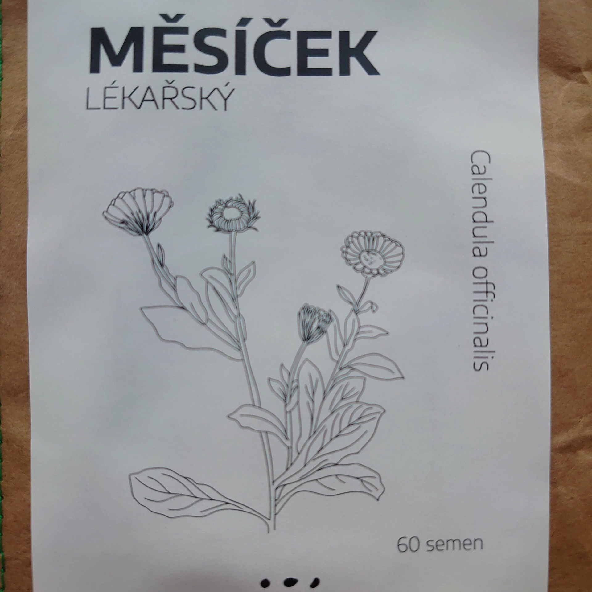 Měsíček lékařský