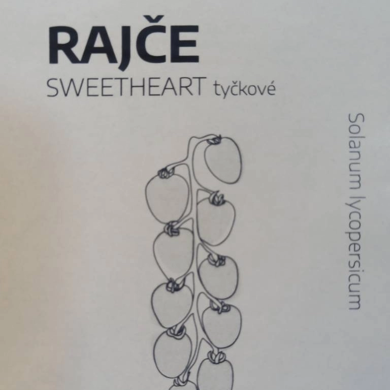 Rajče sweetheart tyčkové - semena