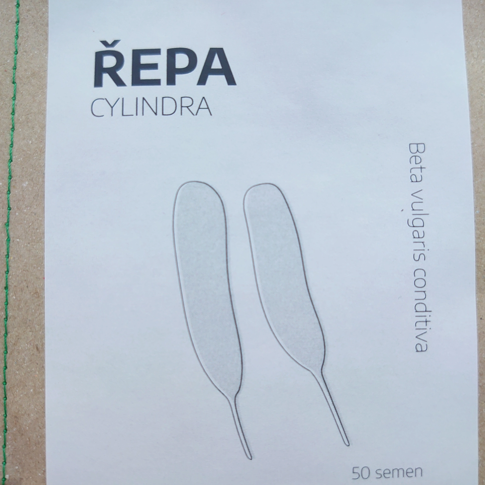 Řepa Cylindra - semena