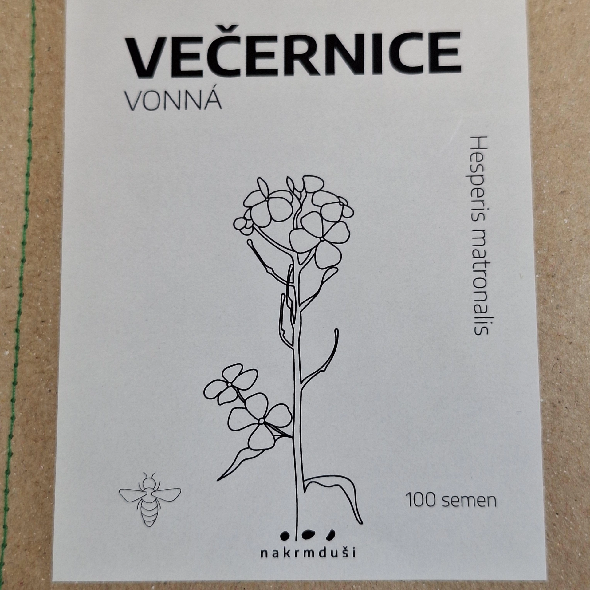 Večernice vonná - semena