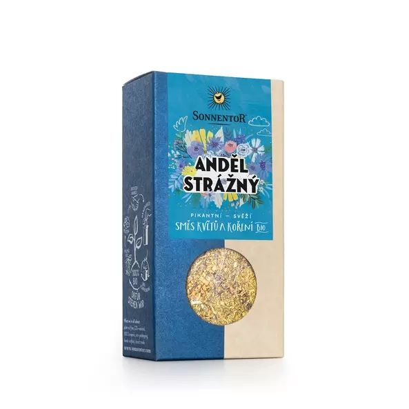 Anděl strážný
