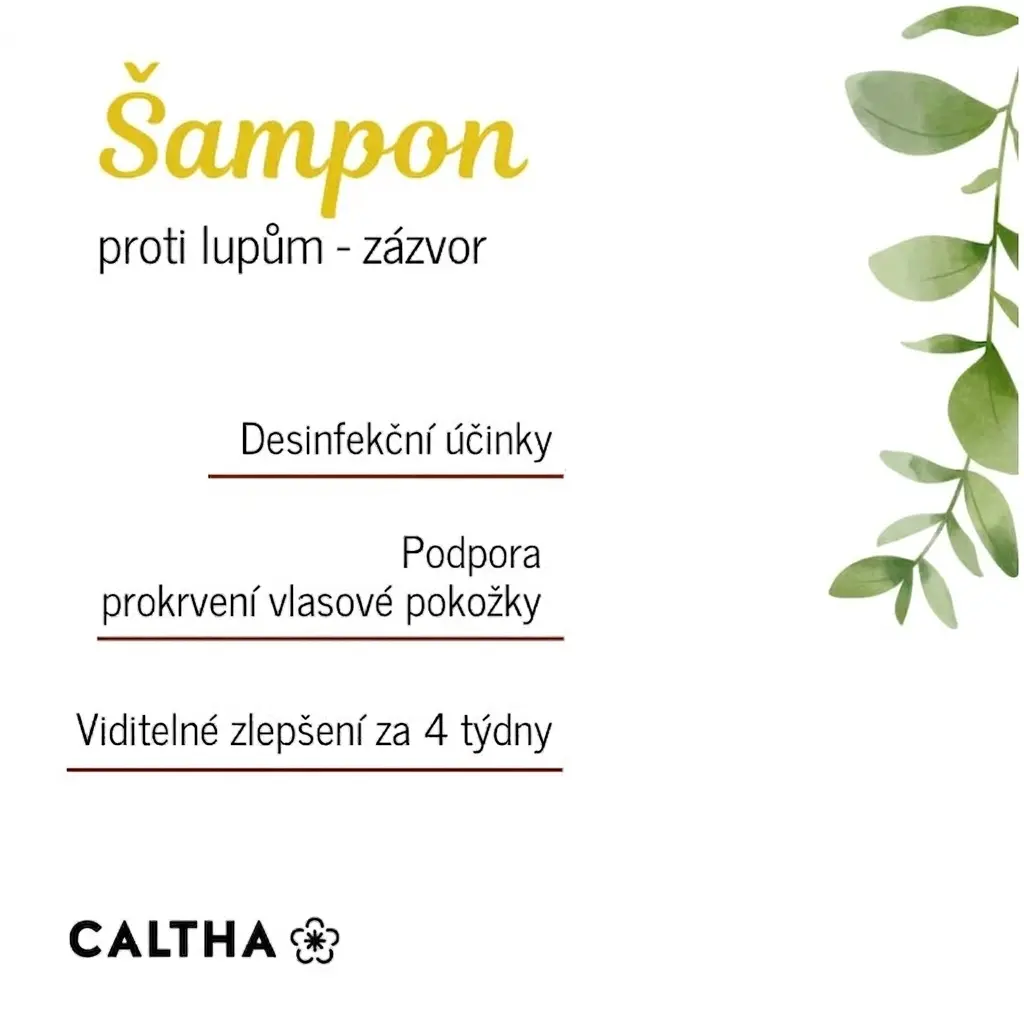 Tekutý šampon proti lupům - zázvor