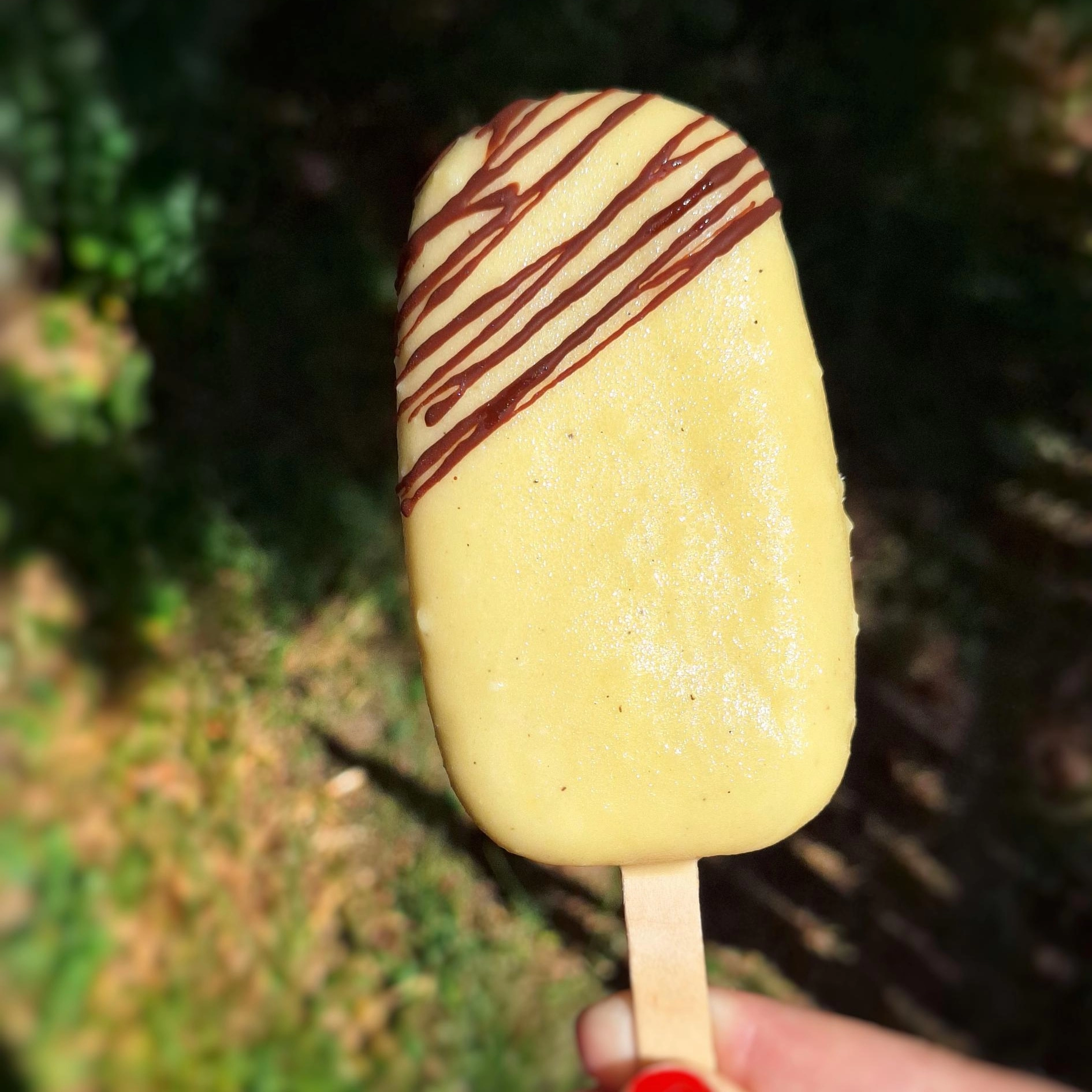 Pumpkin spice - nanuk