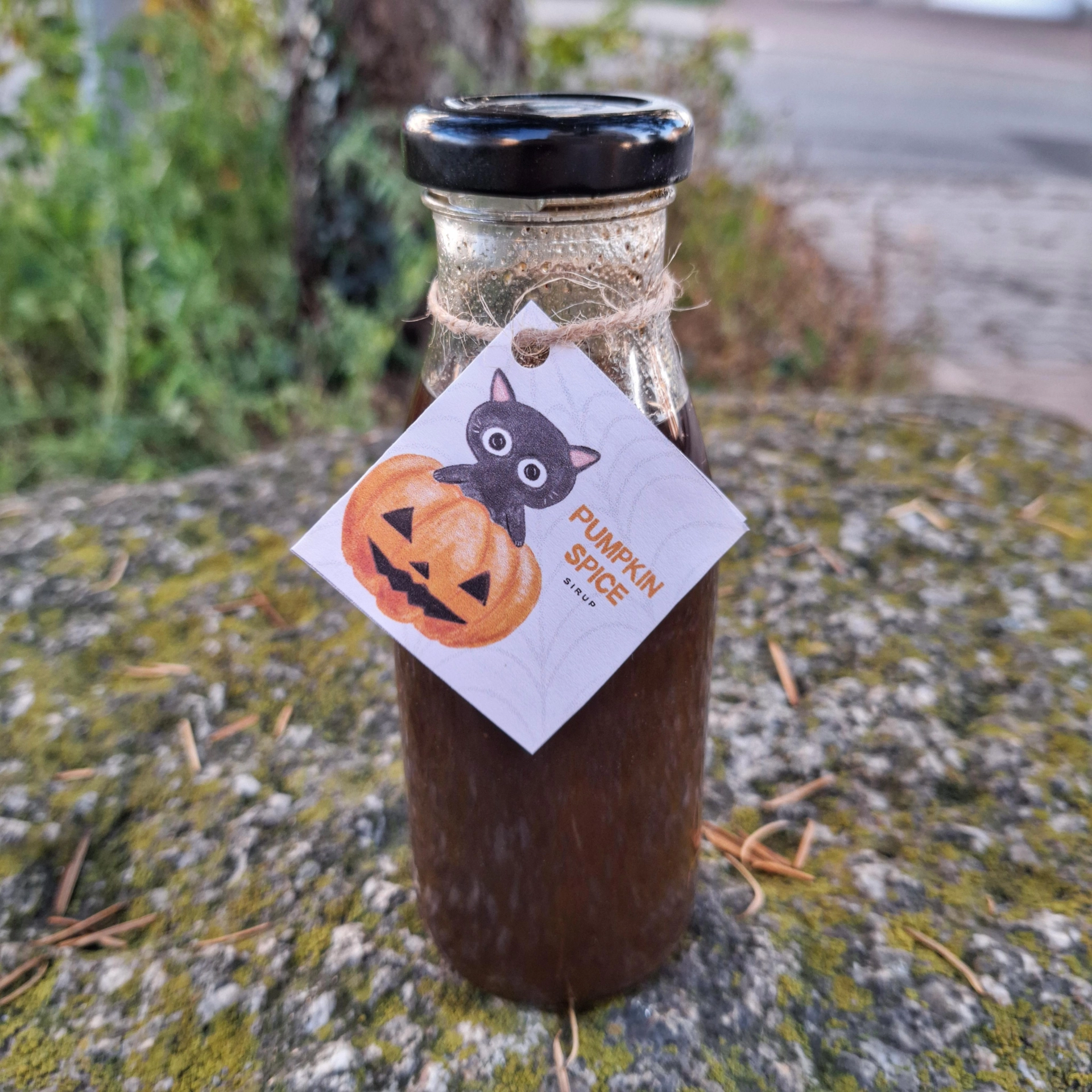 Pumpkin spice sirup 300 g