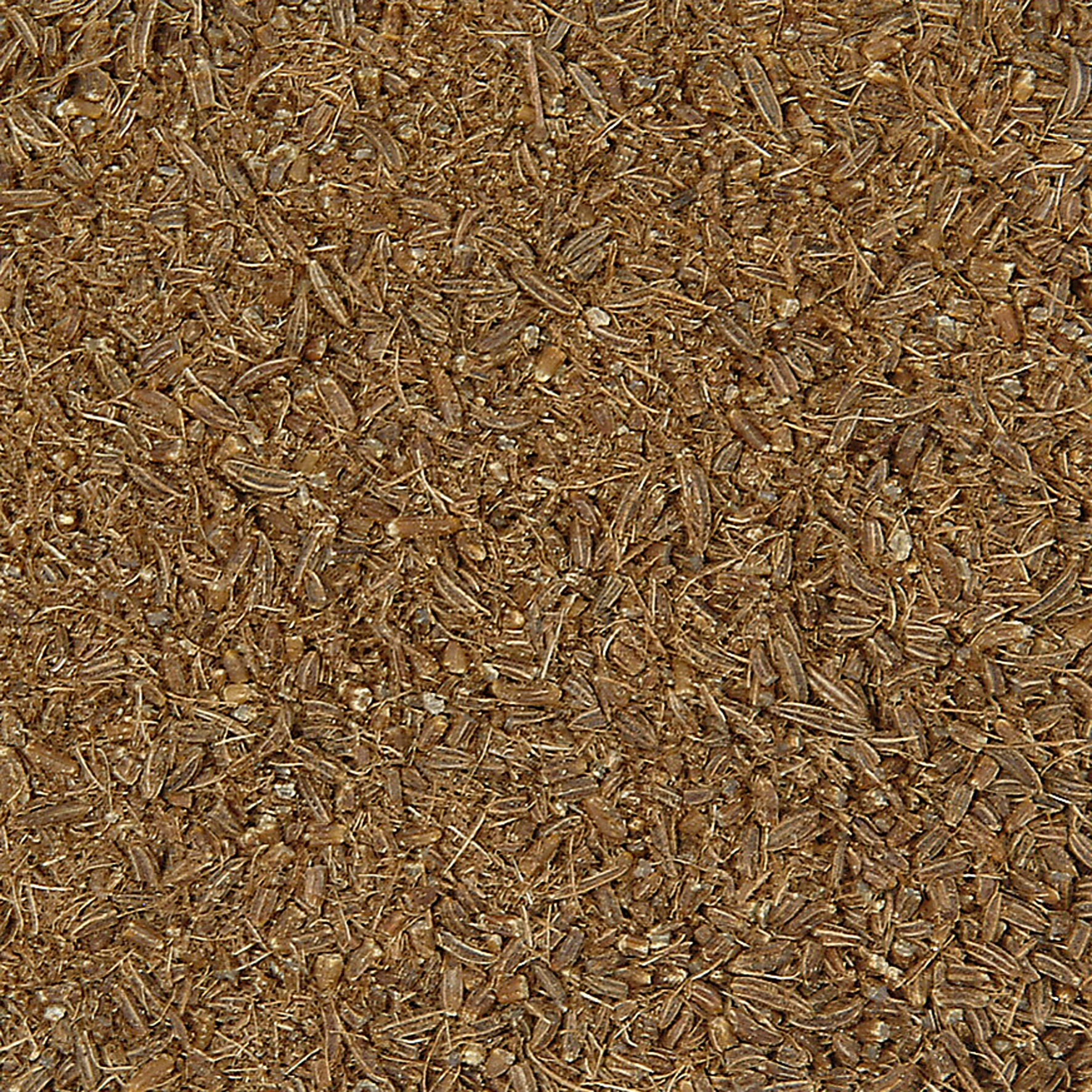 Kmín český drcený