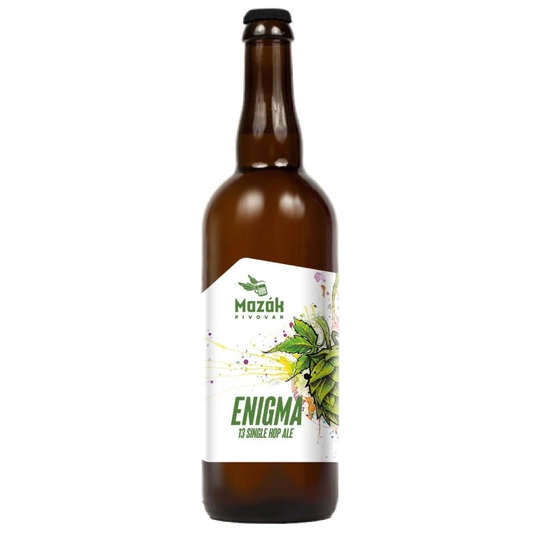 13 Enigma Single Hop Ale 0,75L