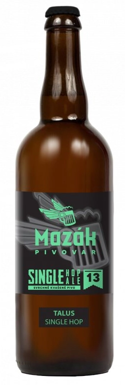 13° Talus Single hop Ale