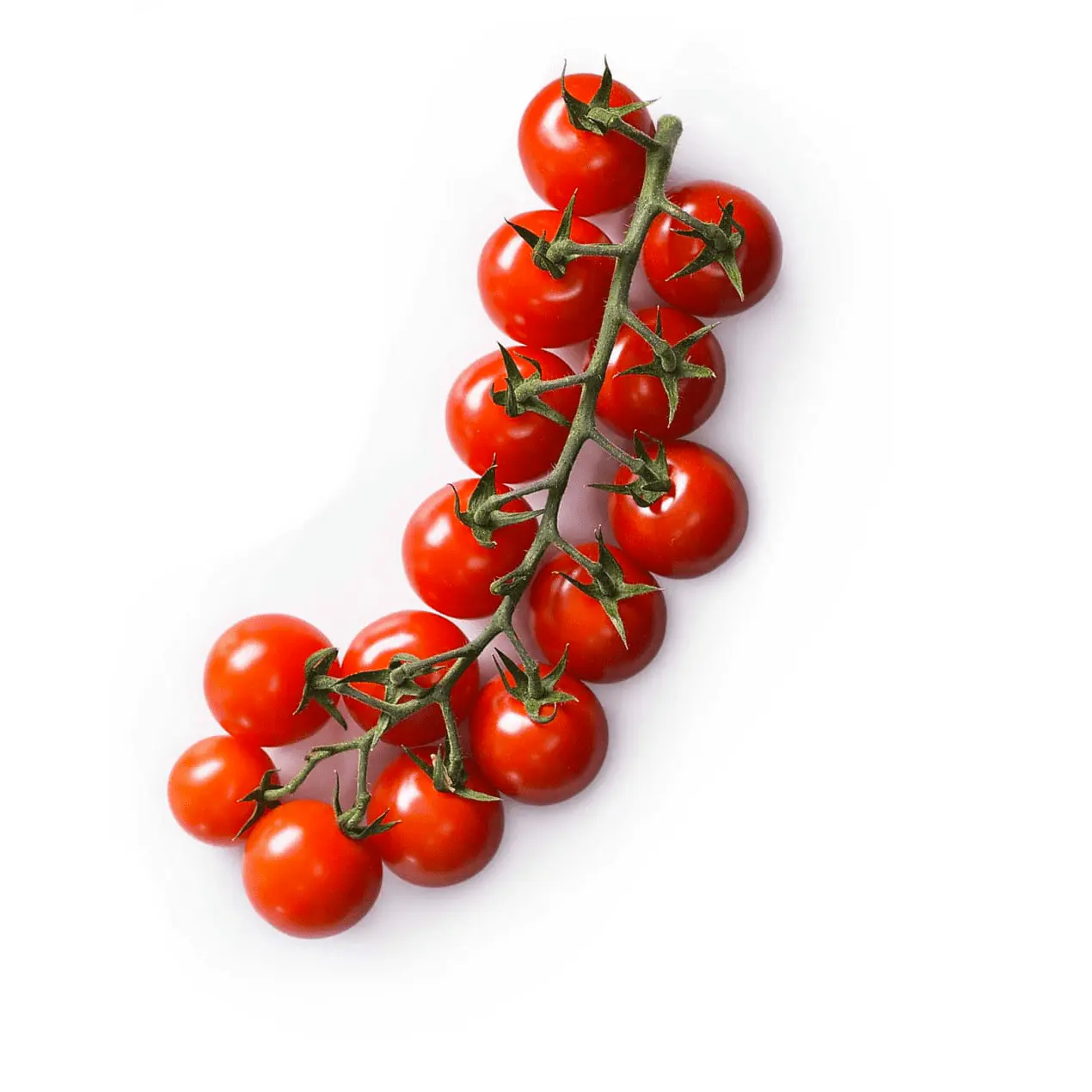 Rajčátka cherry na větvičce Nelinka