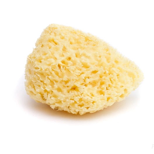 Mořská houba Honeycomb střední bělená