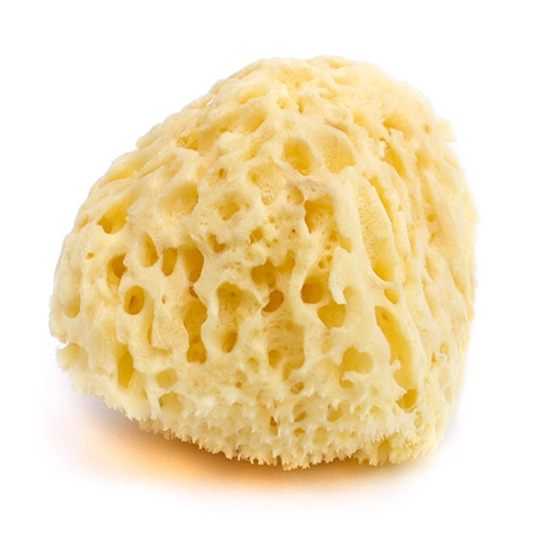 Mořská houba Honeycomb velká nebělená