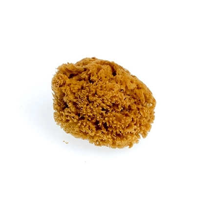 Mořská houba tráva malá nebělená