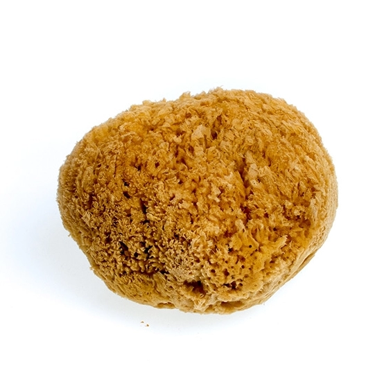 Mořská houba tráva velká nebělená