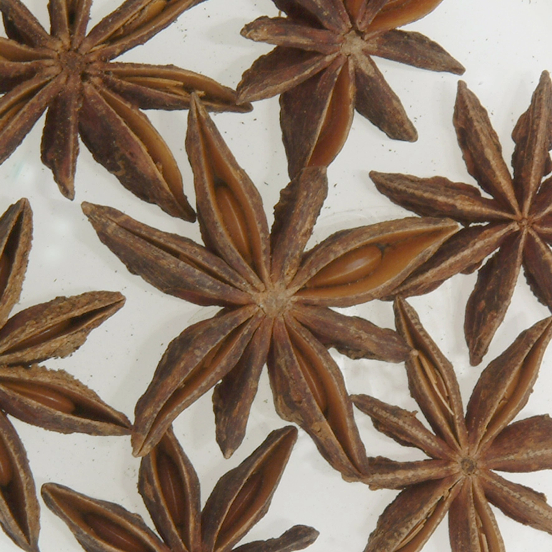 Badyán celý hvězdičky