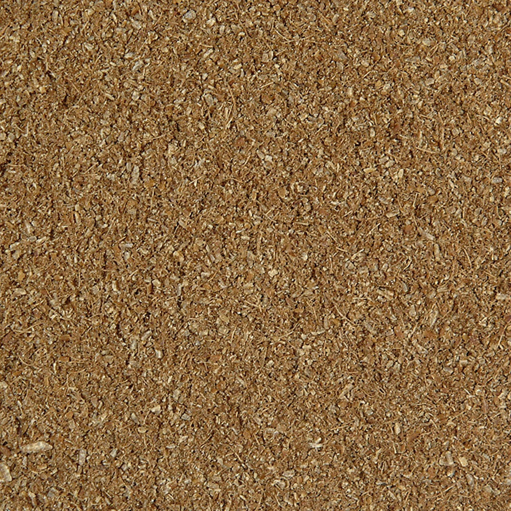 Kmín český mletý